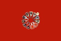 任丘市回收红酒
